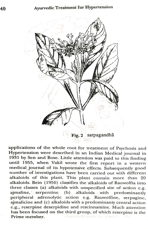 Ayurvedic Treatment for Hypertension (High Blood Pressure)